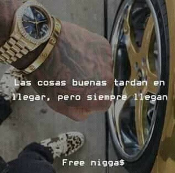 Meet your Posher, John - Picture 1 of 1